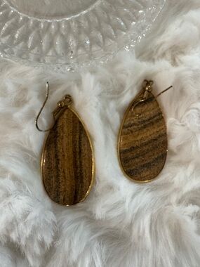 Teardrop TigerEye Stone Earrings with Gold PlatedTrim